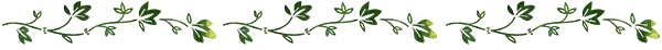 植物のライン